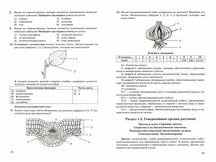 Решебник по биологии 2023