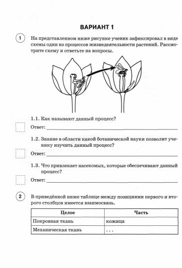 Впр биология 6 класс линейная программа образец с ответами