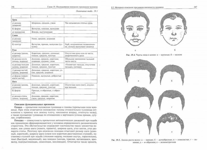 Внешность человека криминалистика