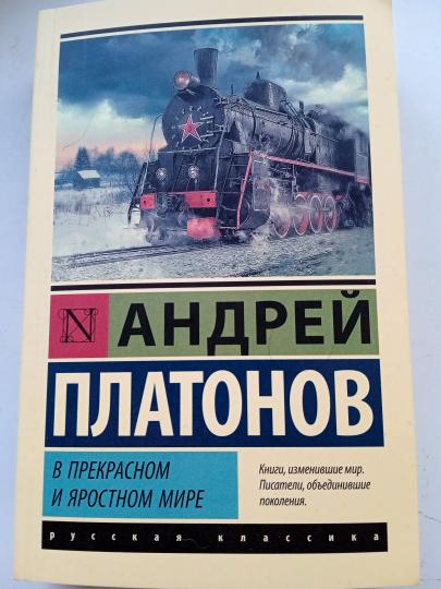 Картинки по рассказу в прекрасном и яростном мире